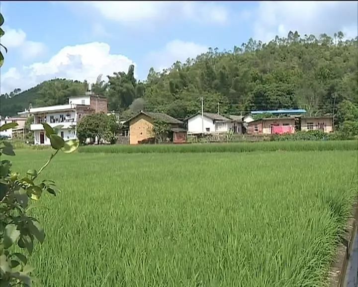 水车镇最新发展规划概览