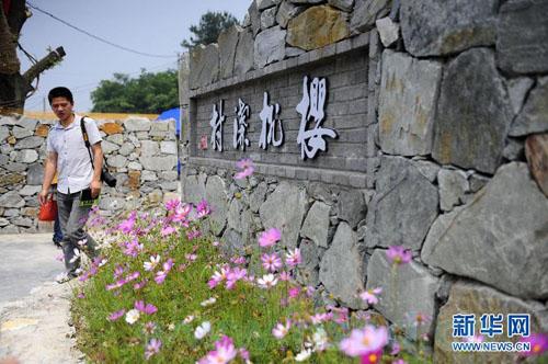 樱桃沟村委会最新动态报道