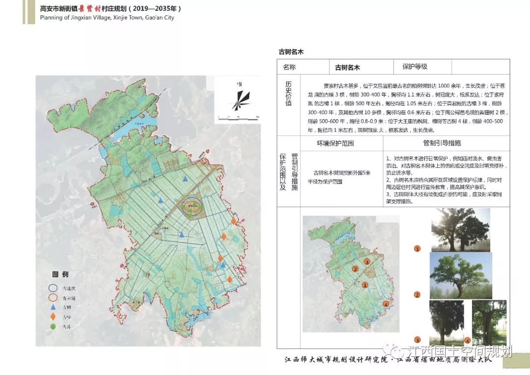 特日村全新发展规划概览