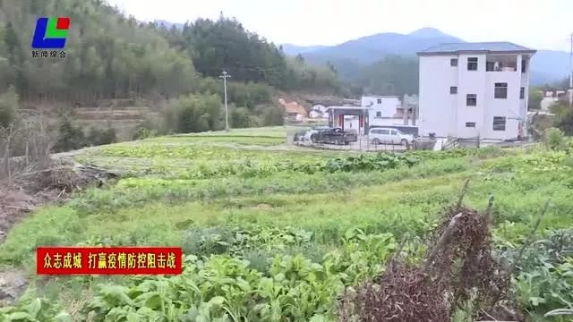 句东农场最新动态报道