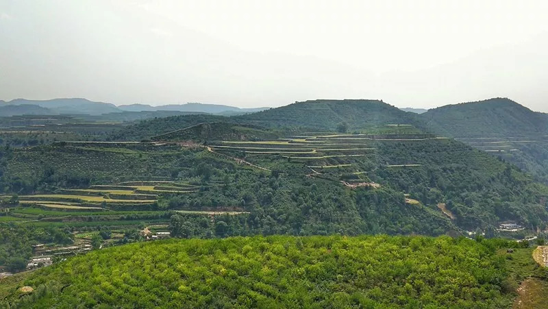 四道沟乡发展规划概览，未来蓝图揭秘