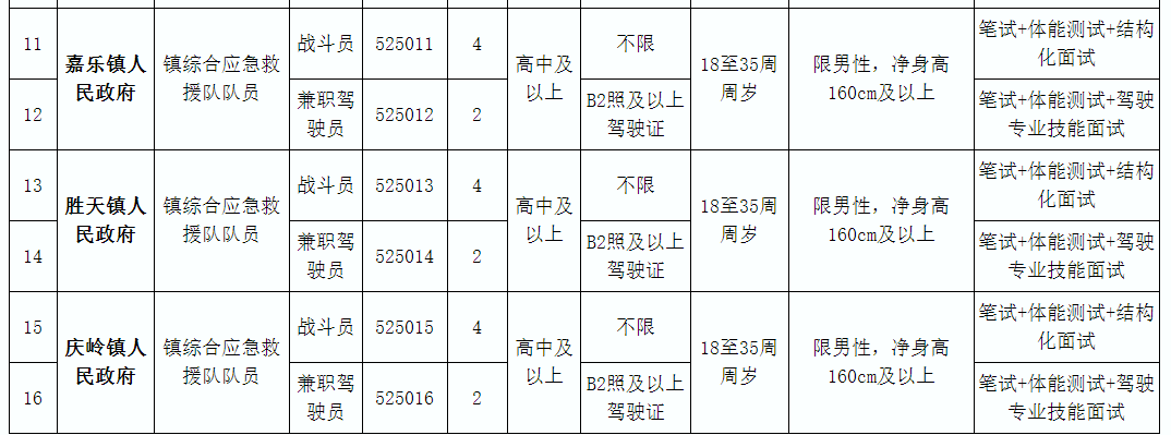 岳池县应急管理局最新招聘公告概览