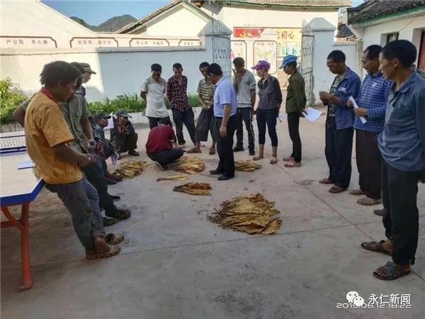 嗄麦诺村委会最新动态报道