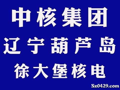 中二村委会最新招聘信息详解及解读概述