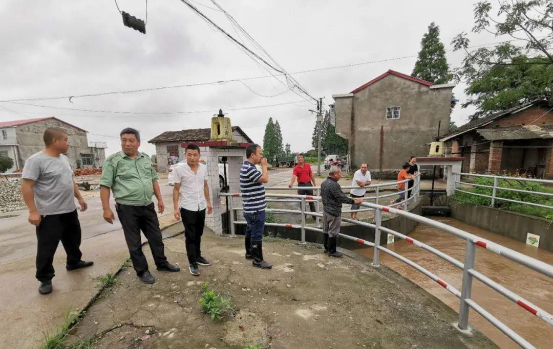 南华农场虚拟镇天气预报更新