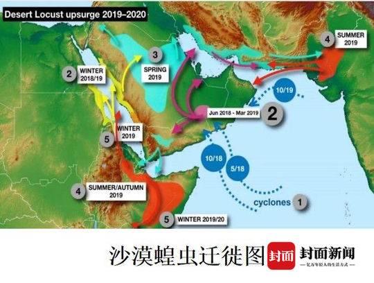 沙漠林业实验中心绿色革命新突破，沙漠中的新生机遇