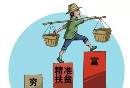 树村委会最新新闻报道概览