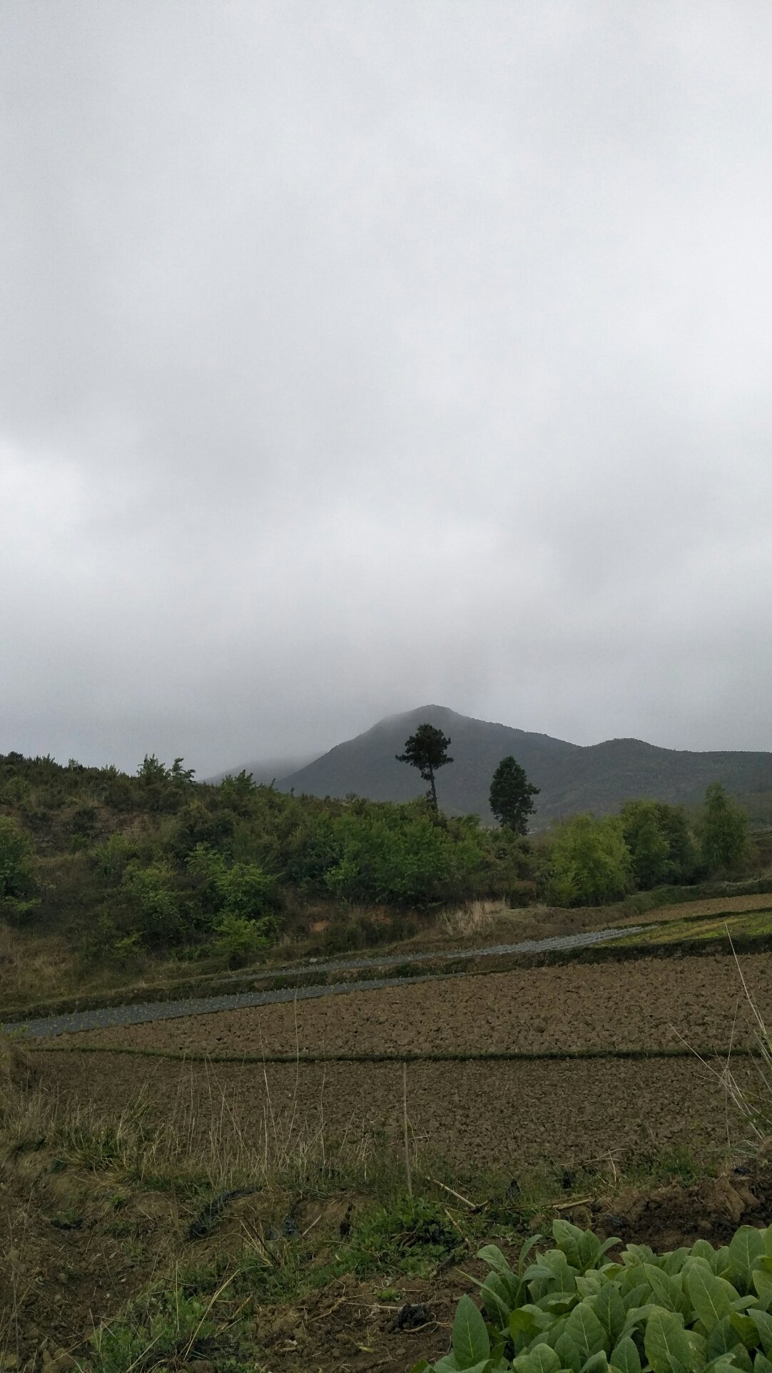 芒荣村天气预报更新通知