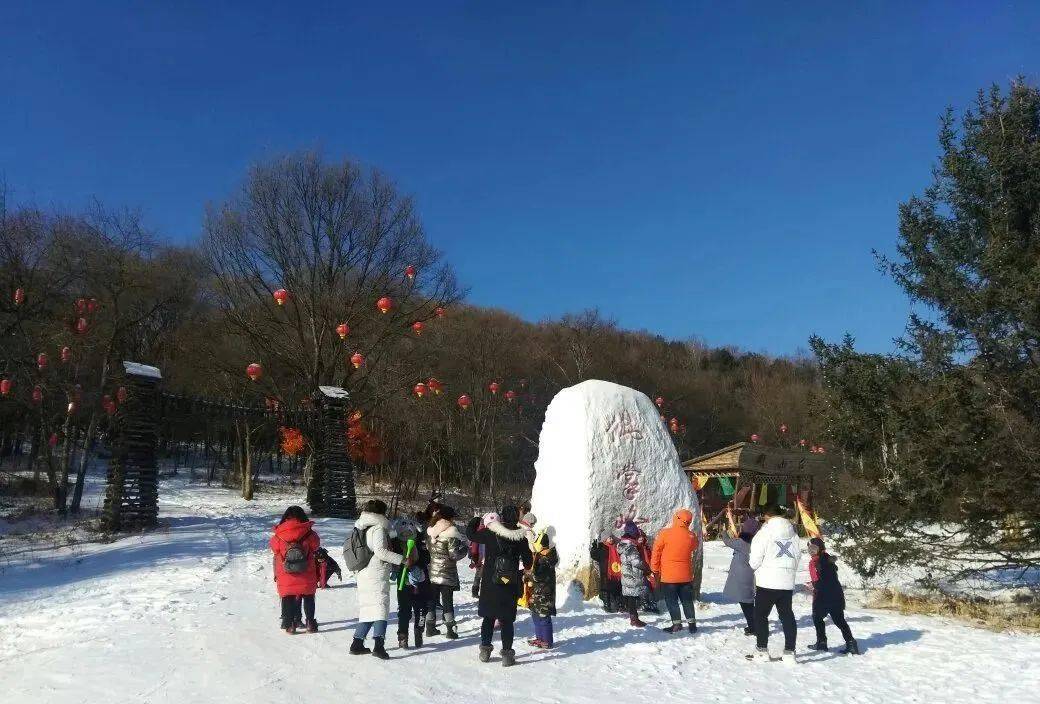 拉加雪村最新项目，探索之旅与启示