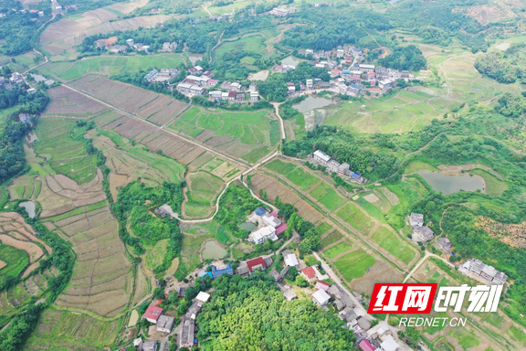 土陂乡天气预报更新通知